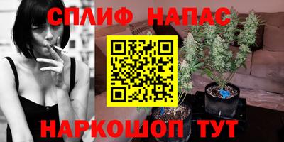 стаф Будённовск