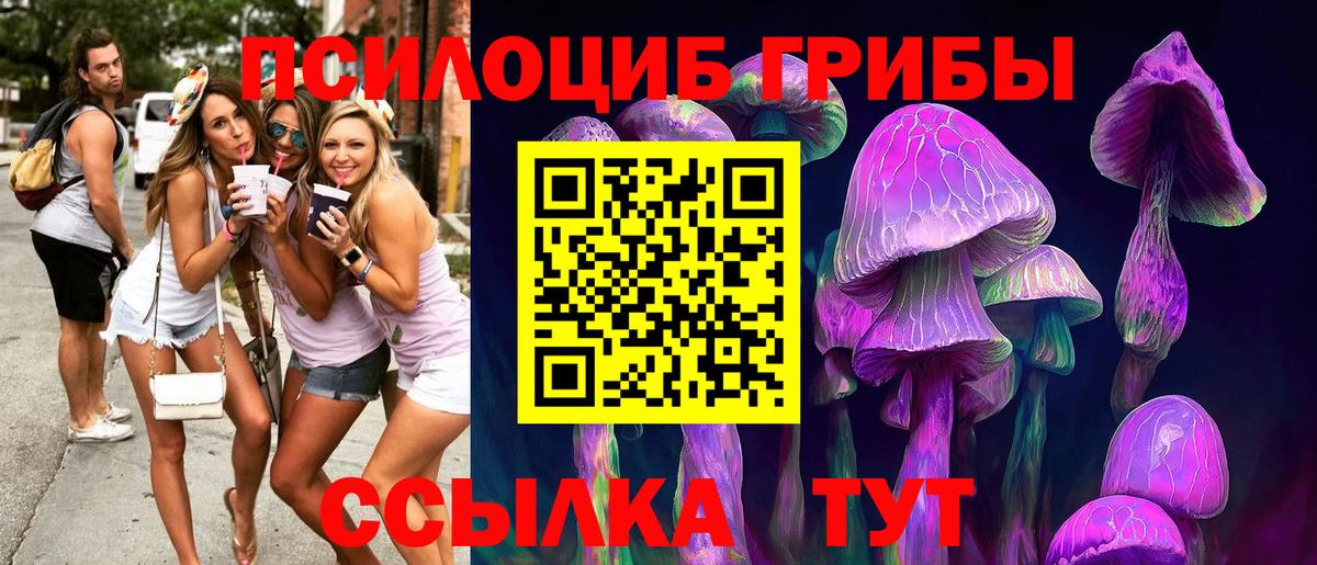 Галлюциногенные грибы GOLDEN TEACHER Старый Оскол