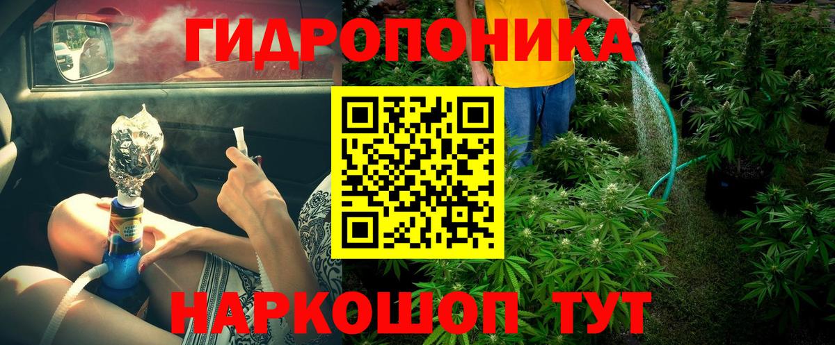 Бошки марихуана семена Старый Оскол